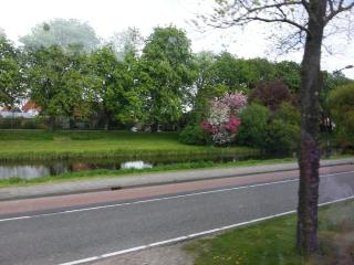 WP_20140415_221.jpg