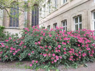 WP_20140422_080.jpg