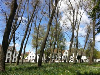 WP_20140418_214.jpg
