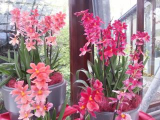 WP_20140415_103.jpg