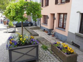WP_20140422_369.jpg