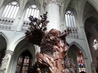 WP_20140417_212.jpg