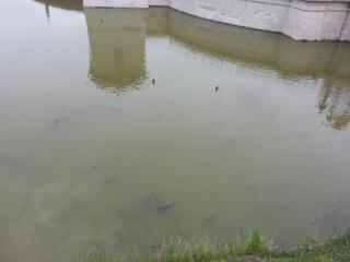 WP_20140421_025.jpg