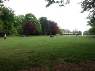 WP_20140422_451.jpg