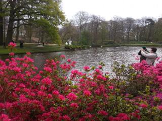 WP_20140415_136.jpg