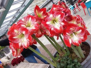 WP_20140415_066.jpg