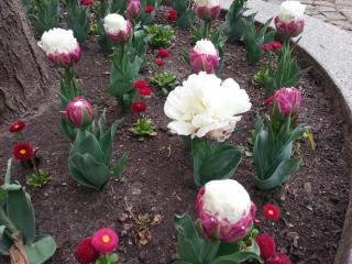 WP_20140422_084.jpg