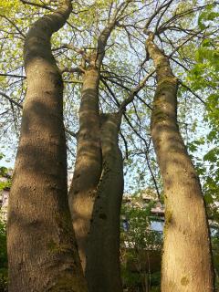 WP_20140423_074.jpg