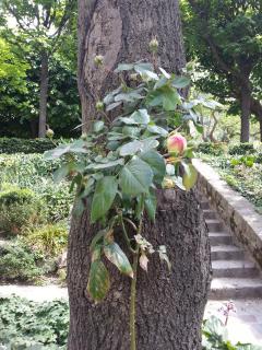 WP_20140420_118.jpg