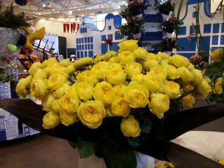 WP_20140415_043.jpg