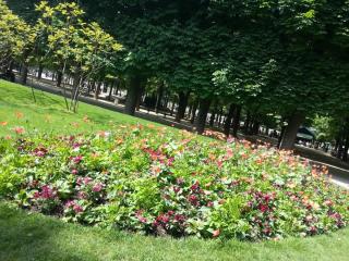 WP_20140420_199.jpg