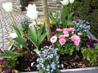 WP_20140422_321.jpg