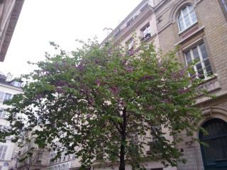 WP_20140420_048.jpg