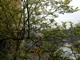 WP_20140422_088.jpg