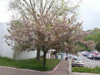WP_20140422_191.jpg