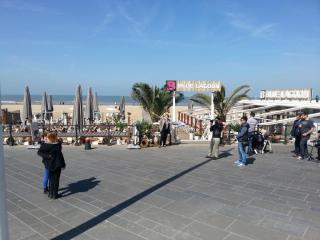 WP_20140416_181.jpg