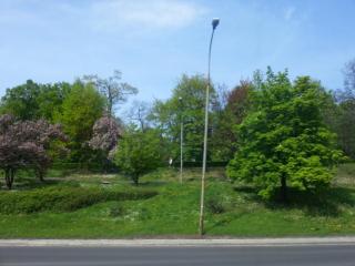 WP_20140424_020.jpg