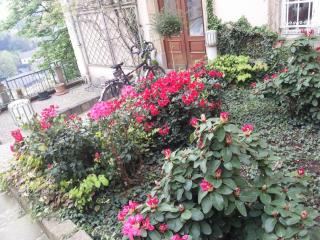 WP_20140422_089.jpg