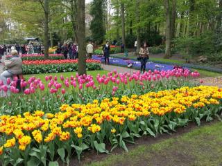 WP_20140415_161.jpg