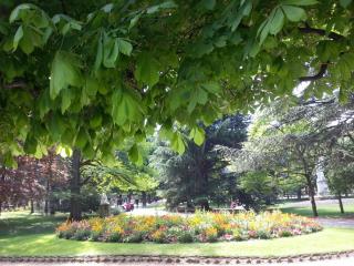 WP_20140420_198.jpg