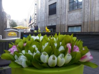 WP_20140417_045.jpg