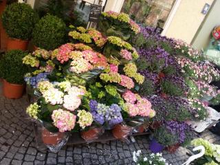 WP_20140423_335.jpg