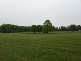 WP_20140421_032.jpg