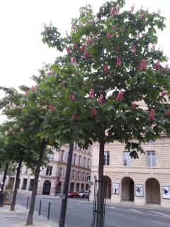 WP_20140420_264.jpg