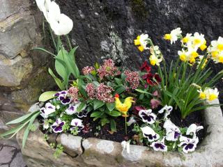 WP_20140422_333.jpg