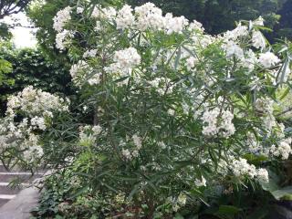 WP_20140420_117.jpg