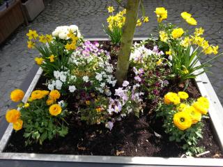 WP_20140422_373.jpg