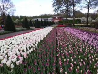 WP_20140415_053.jpg