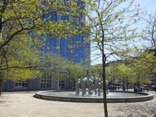 WP_20140417_262.jpg