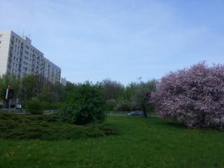 WP_20140424_032.jpg