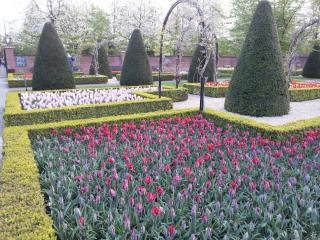WP_20140415_015.jpg
