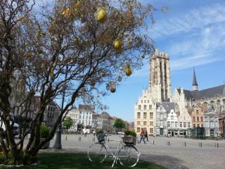 WP_20140417_218.jpg
