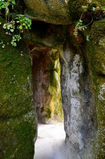 DSC_0204.JPG