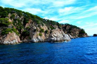 DSC_0117.JPG