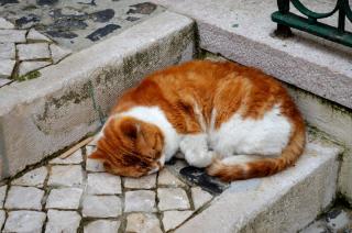 DSC_0032.JPG