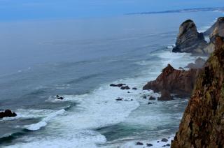 DSC_0276.JPG