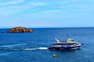 DSC_0149.JPG