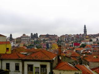 P1070557.JPG