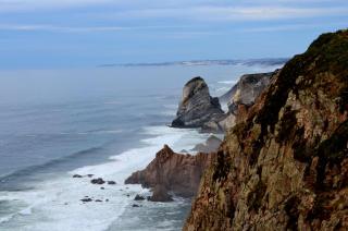 DSC_0270.JPG