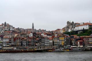 DSC_0550.JPG