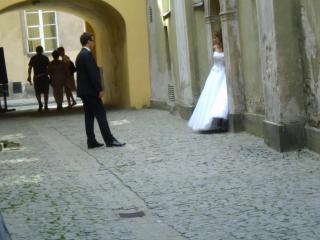 P1000327.JPG