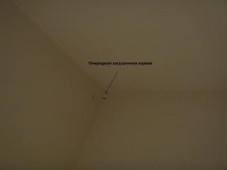 DSC04166.JPG