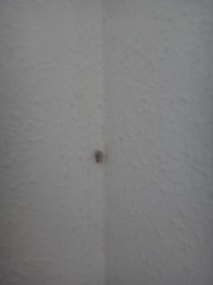 DSC04175.JPG