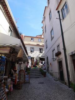 DSC02364.JPG