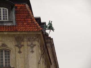 DSC00883.JPG