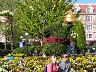 DSC01515.JPG